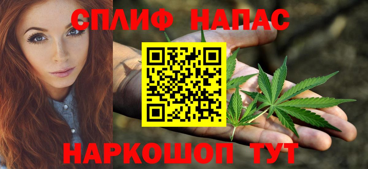 Бошки марихуана семена Новошахтинск